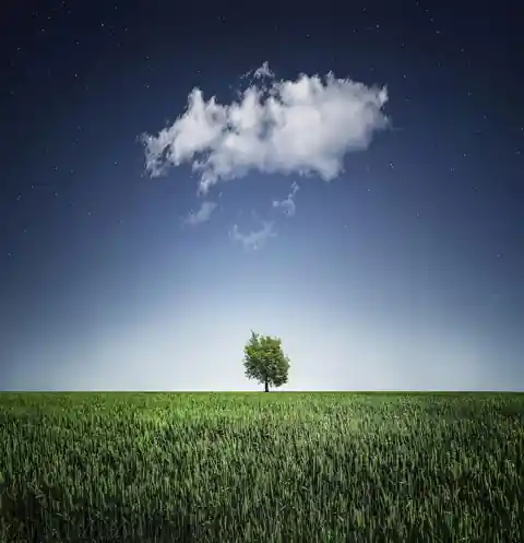 lone-tree-in-a-field-representing-feeling-out-of-place