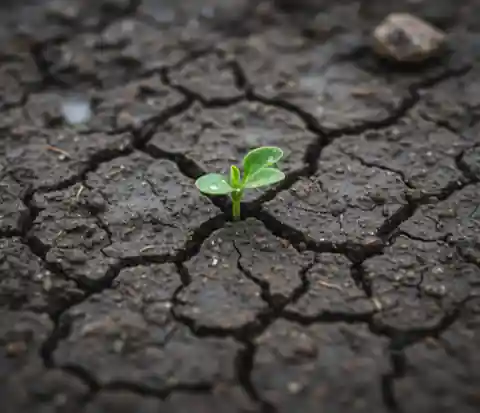 young plant breaking through the dry soil represents hope at InnerZension Therapy